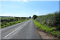 Road to Little Spierston