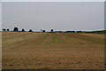 Harvested field by the A1(M)