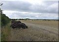 Dung to be spread before ploughing