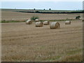 TL1383 : Rolls of straw near Great Gidding by Richard Humphrey