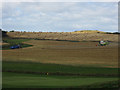 NU2423 : Combine at work, near Embleton Links by Graham Robson