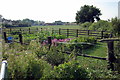 A fenced garden at the end of Keeley Lane