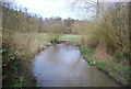 River Wey