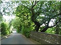 Bridge over the Nickey Line on Cherry Tree Lane