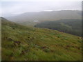 NN4662 : Deer track west of Coire a' Ghiubhais near Loch Ericht by ian shiell