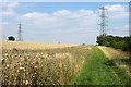 Bridleway towards Wootton Wood