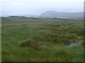 NN4662 : Boggy land near dwelling below Coire a' Ghiubhais by ian shiell