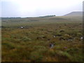 NN4763 : Boggy ground west of Loch Ericht by ian shiell