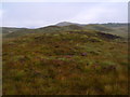 NN4763 : Dry ground on morraine ridge west of Loch Ericht by ian shiell