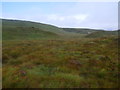 NN4763 : Rough ground west of Loch Ericht  by ian shiell