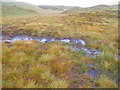 NN4763 : ATV track in bog west of Loch Ericht by ian shiell