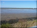 TG5007 : Shallow water on Breydon South Flats by Christine Johnstone