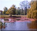 Oak Pond, Home Park