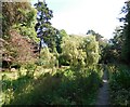 SZ0791 : Upper Gardens, Bournemouth by Paul Gillett
