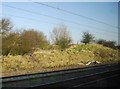 Railway cutting, Pindon Manor Farm