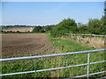 Field at the edge of Broad Street