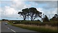 A39 passing Greenfields B&B