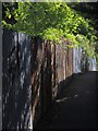 Fence, Stentiford Hill