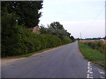 TM0883 : Common Road, Bressingham by Geographer