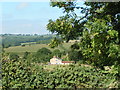 House at Hewish seen from the B3165