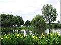 Bolton-upon-Dearne - Brickyard Ponds (east pond)