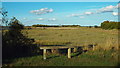 Riverside Country Park, near Gillingham