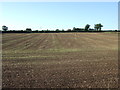 Farmland north of Upton