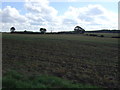 Farmland, North Lodge Farm