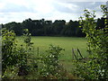 Farmland south of the A617