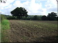 Farmland off Kirklington Road