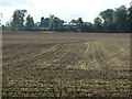 Farmland south of Kirklington Road