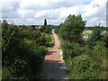 Cycle trail heading west on disused railway