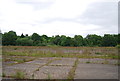 Overgrown airfield