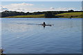 TQ6832 : Rowing on Bewl Water by Julian P Guffogg