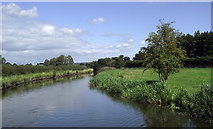 SJ9211 : Staffordshire and Worcestershire Canal south of Penkridge, Staffordshire by Roger  D Kidd