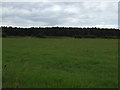 Farmland towards Intake Wood