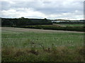 Farmland, Newlands Farm