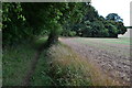 Footpath along edge of woodland