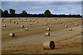 SU3030 : Field of bales by David Martin