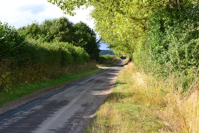 Lane from East Tytherley near Gray's Copse 