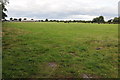 Field beside Brooklands Farm