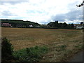 Farmland off Northfield Lane