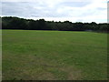 Playing field off Rotherham Road