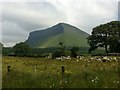G6846 : View of Ben Bulben seen from the west along the N15 by Darrin Antrobus