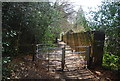 Kissing gate, Greensand Way