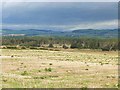 Rough pasture near Barnkin of Craigs