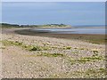 Solway shore east of Powfoot