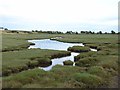 Pond on the salt marshes near Annan Waterfoot