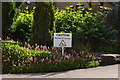 SE2409 : Ducks Crossing at Bagden Hall, Wakefield Road, Scissett, Denby Dale, Near Huddersfield by Terry Robinson