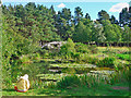 Lake within the  Cullerne Gardens, Findhorn Foundation